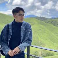 Chilling in Cameron Highlands 🇲🇾 