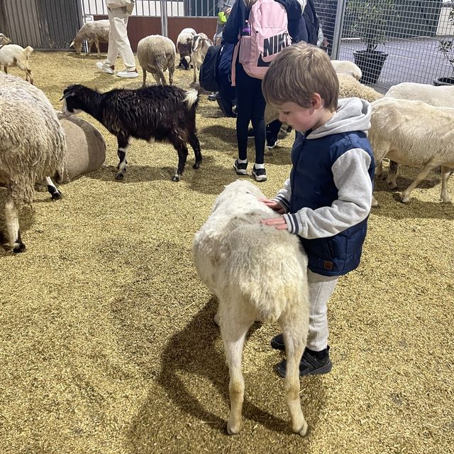 Melbourne Royal Show 