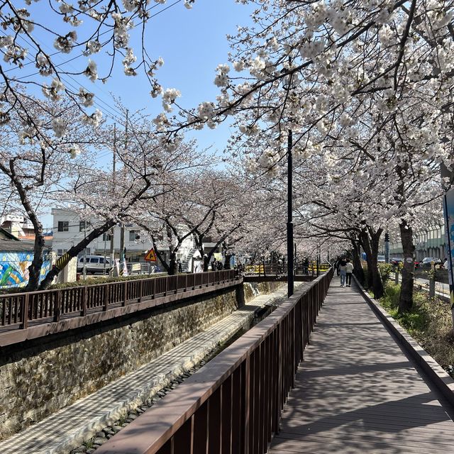 경남 벚꽃 명소, 진해 여좌천 로망스다리