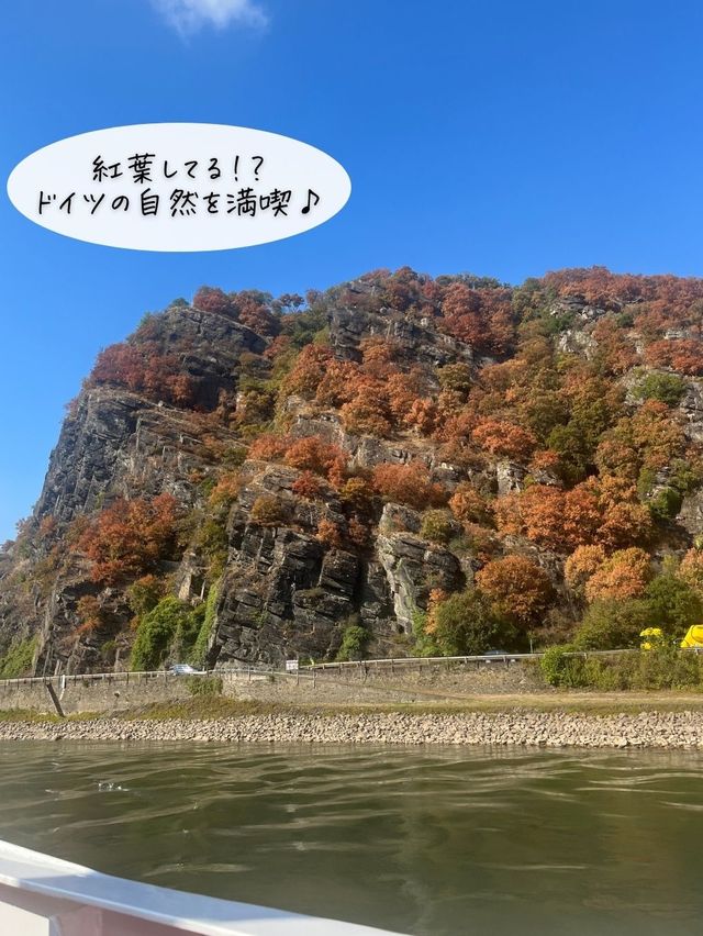 フランクフルトから日帰りOK「ライン川クルーズで古城巡り」