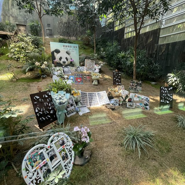 海洋公園生日慢遊