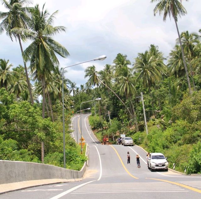 จุดชมวิวถนนสายขนอม-สิชล