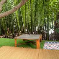 RiverBreeze Cafe : Cafe|Bar|River