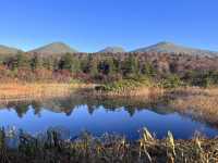 【青森】穴場の紅葉スポット🍁睡蓮沼