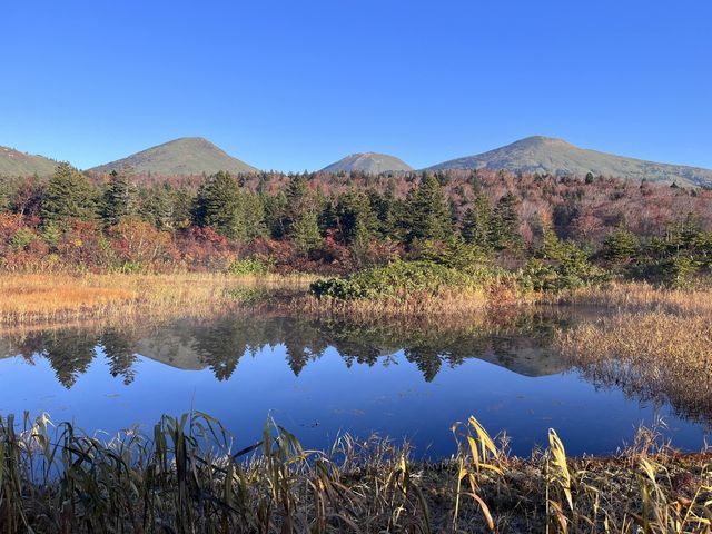 【青森】穴場の紅葉スポット🍁睡蓮沼
