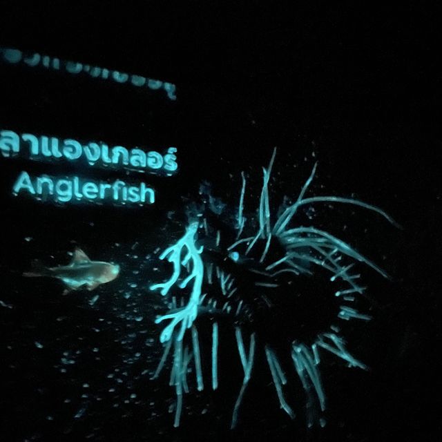 กำเงิน20฿ เดินเล่นที่มิวเซียม หาดใหญ่