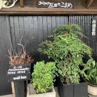 日田　豆田町