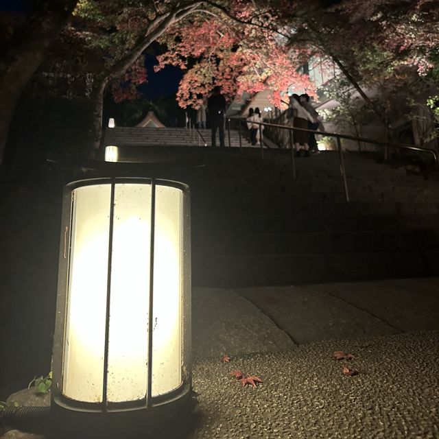 【太宰府】竈門神社の紅葉ライトアップ🍁