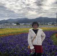 心花開//2022台中國際花毯節