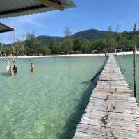 Spectacular beach littered with starfish….