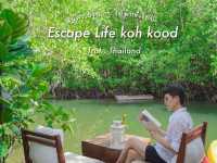 Escape Life Koh Kood ที่พักสุดชิลฟีลป่าโกงกาง