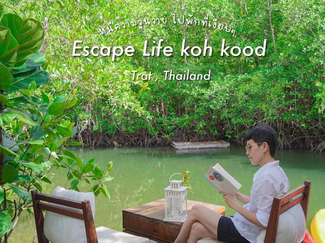 Escape Life Koh Kood ที่พักสุดชิลฟีลป่าโกงกาง