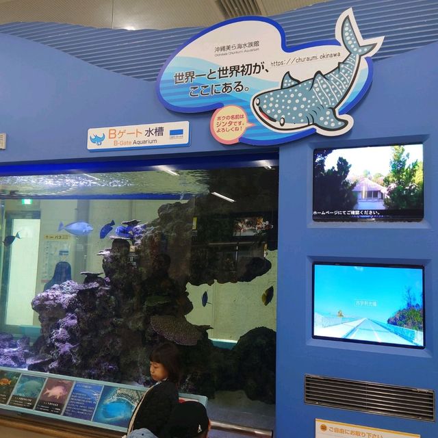 那覇空港
