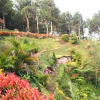 natural relax walk at San Flora Terra Batu