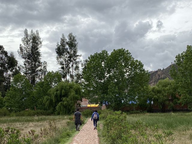 Humedal De Huasao - Peru 