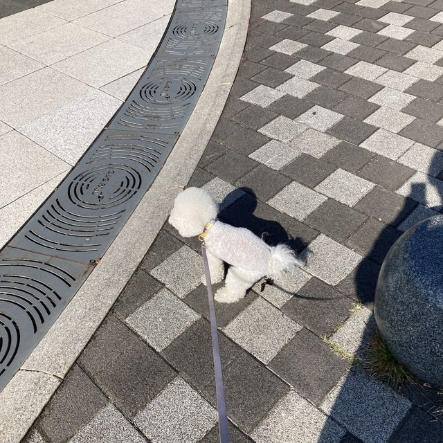 경기도 파주 운정호수공원 피크닉