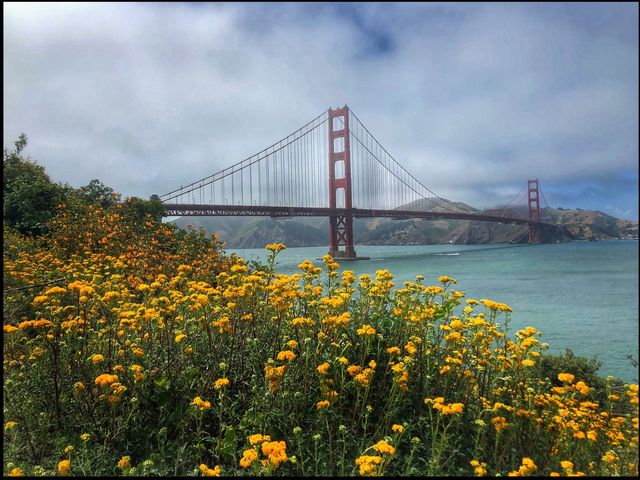 The Golden Gate Bridge. 