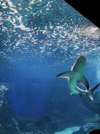 CretAquarium - Crete Island, Greece