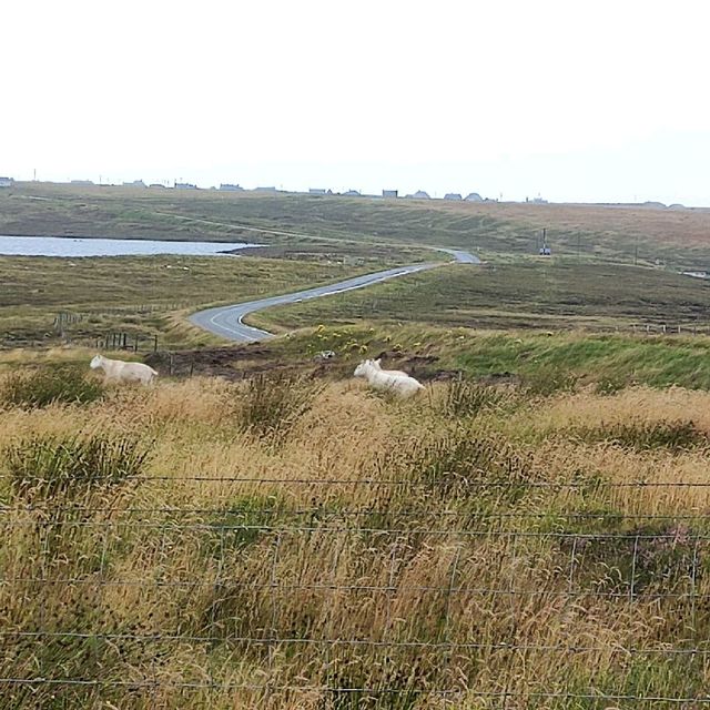 The Shieling Barvas and Brue
