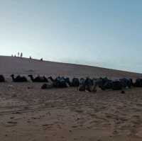 Morocco Sahara Desert Camel Ride