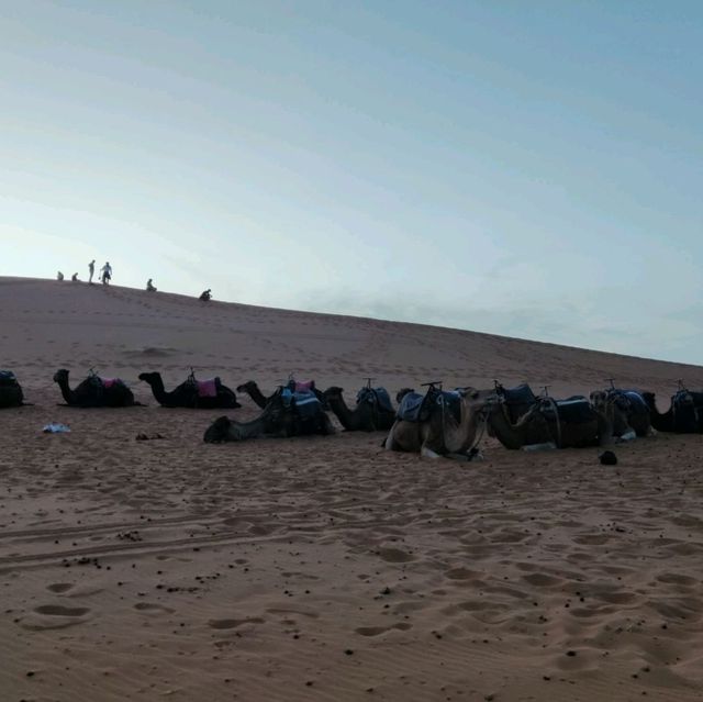 Morocco Sahara Desert Camel Ride