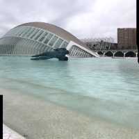 experience in Valencia