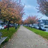 Koblenz 