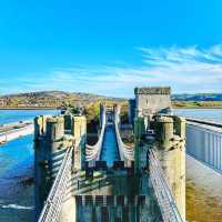 Conwy castle