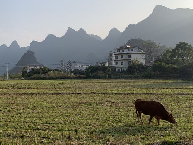 Amazing Yangshuo 