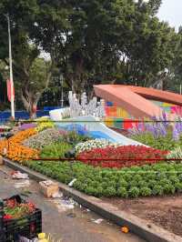 See the flowers blooming in Guangzhou City