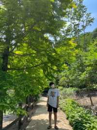 풀과 나무가 아름다운 경상남도수목원 🌳🌿