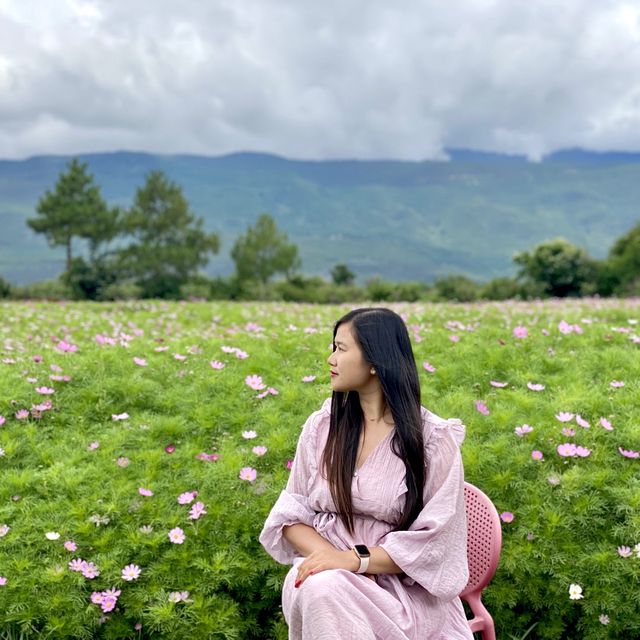 Tinghua Valley💐