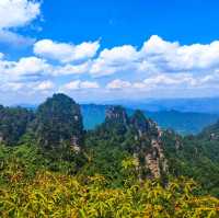 Tianzi Mountain