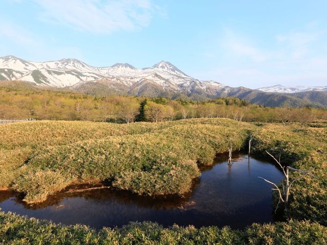 世界自然遺產日本知床半島