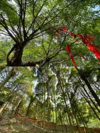 Chengdu surrounding within 1 hour｜Visit a lesser-known temple to admire Ming Dynasty murals.