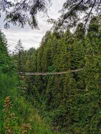 Capilano Suspension Bridge Park