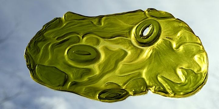 Fall Exhibitions Opening Reception | ArtYard