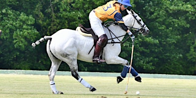 The Gerald Balding Final 2024 | Cirencester Park Polo Club