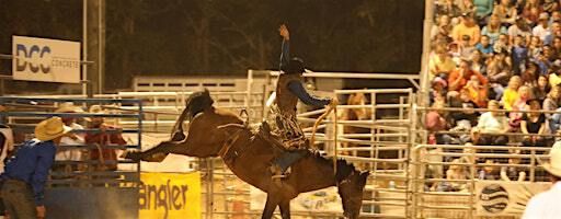 Saturday Night Rodeo - Mule Days in Benson, NC | 355 J Lee Rd