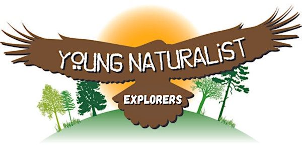 Young Naturalist Explorers:  Gopher Tortoise Day Event | Mead Botanical Garden