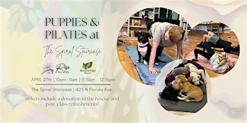 Puppies & Pilates with MercyFull Project Rescue | The Spiral Staircase