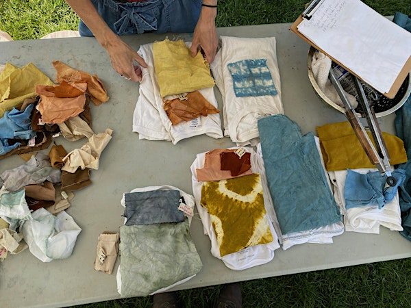 Plant based dyes: intro | Allen Centennial Garden