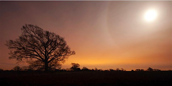 Twilight Night- Halloween Extravaganza (ECC2511) | Carlton Marshes Nature Reserve & Visitor Centre