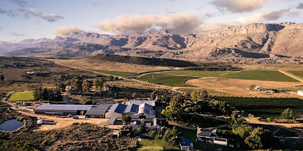 South African Wine Tasting with David Nieuwoudt | Brunswick Fine Wines & Spirits