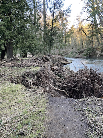 Carver Park, Clackamas County--PDX | Carver Park