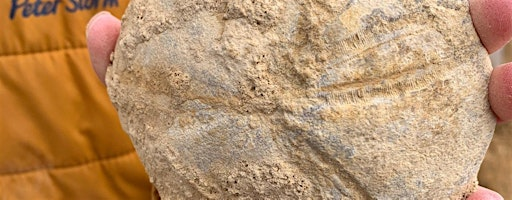 Home Educators Workshop -  Fossil Hunt at Cross Hands Quarry | Cross Hands Quarry