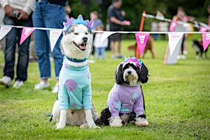 Event: Doghailes 2026 | Newhailes House & Garden