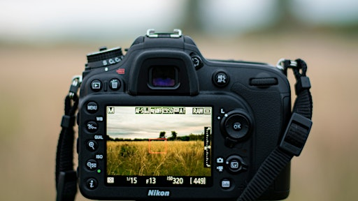 Fall Garden Photography Workshop | 20 Frederick Law Olmsted Way