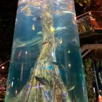 Aquaria 吉隆坡水族館