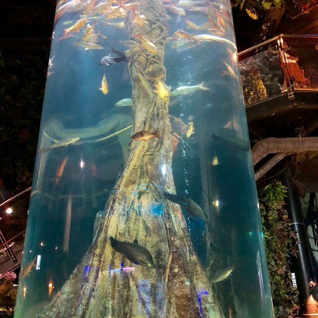 Aquaria 吉隆坡水族館